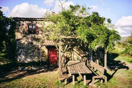 Rustikales Haus mit roter Tür, umgeben von Bäumen und einer Holzbank.