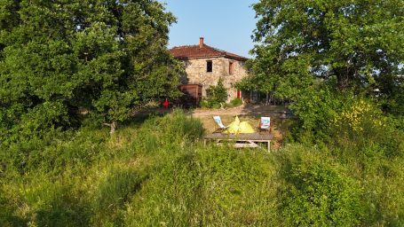 Alter Bauernhof umgeben von Bäumen und grüner Wiese, mit Liegen im Vordergrund.